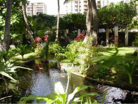 Liliuokalani Garden,ハワイ,不動産,ワイキキ,コンドミニアム